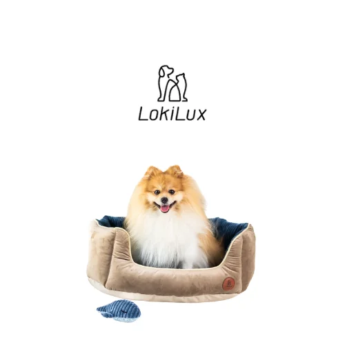 Bild des CouponBoys Partners